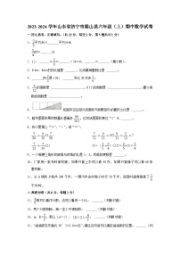 山东省济宁市梁山县2023-2024学年六年级上学期期中数学试卷