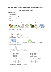 山东省青岛市黄岛区胶南市胶河经济区中心小学2023-2024学年一年级上学期期中数学试卷