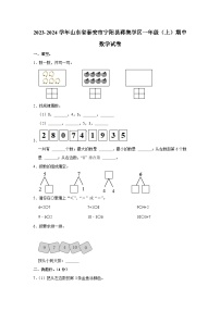 山东省泰安市宁阳县蒋集学区2023-2024学年一年级上学期期中数学试卷