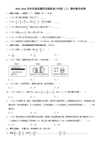 河南省漯河市舞阳县2023-2024学年六年级上学期期中数学试卷