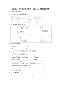 山东省泰安市2023-2024学年一年级上学期期中数学试卷