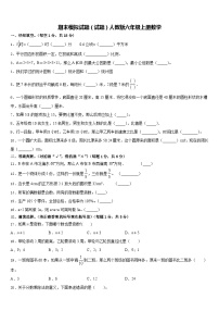 期末模拟试题（试题）人教版六年级上册数学