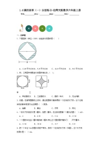 数学六年级上册5 圆的面积（一）课后测评