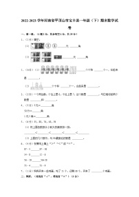 2022-2023学年河南省平顶山市宝丰县一年级（下）期末数学试卷