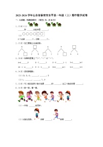 山东省泰安市东平县2023-2024学年一年级上学期期中数学试卷