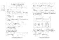 27，吉林省四平市铁西区2023-2024学年六年级上学期期中考试数学试题