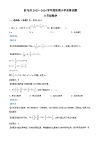 2023-2024学年河南省驻马店市确山县人教版六年级上册10月月考数学试卷（解析版）