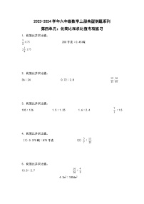 人教版六年级上册4 比课时训练