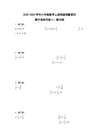 期中典例专练十：解方程-2023-2024学年六年级数学上册典型例题系列（原卷版+解析版）人教版