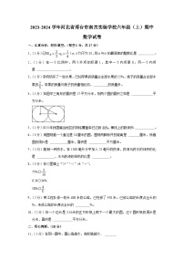 河北省邢台市南宫市南宫私立实验学校2023-2024学年六年级上学期期中数学试卷