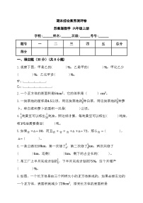 期末综合素养测评卷（试题）-六年级上册数学苏教版