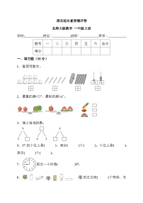 期末综合素养测评卷 （试题）-一年级上册数学北师大版