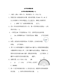 小升初选拔模拟卷(一)（试题）苏教版六年级下册数学