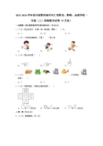 贵州省黔西南州兴仁市黔龙、黔峰、金成学校2023-2024学年一年级上学期9月质检数学试卷