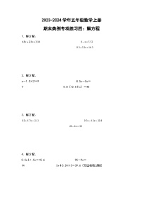 人教版2023-2024学年五年级数学上册期末典例专项练习四：解方程（原卷版）+（解析答案）