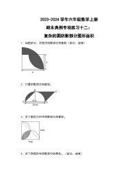 人教版2023-2024学年六年级数学上册期末典例专项练习十二：复杂的圆阴影部分图形面积（原卷版+答案解析）