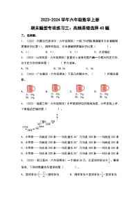 人教版2023-2024学年六年级数学上册期末题型专项练习三：高频易错选择40题（原卷版+答案解析）