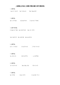 2023-2024学年人教版五年级上册数学期末解方程专题训练