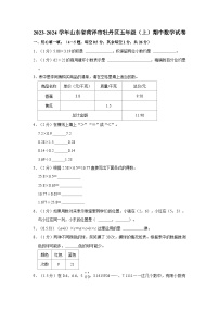 山东省菏泽市牡丹区2023-2024学年五年级上学期期中数学试卷