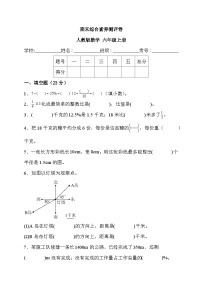 期末综合素养测评卷（试题）人教版六年级上册数学