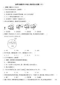 期末复习试题（十）（试题）北师大版六年级上册数学