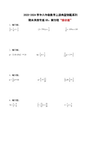 专题05：解方程“综合版”-2023-2024学年六年级数学上册期末专项复习（人教版）