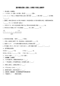 期末模拟试题（试题）人教版三年级上册数学