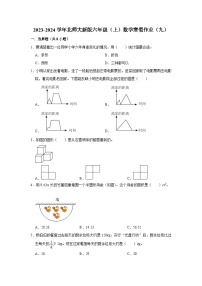 寒假作业（九）（作业）北师大版六年级上册数学