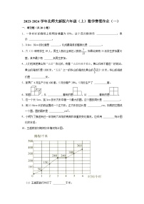 寒假作业（一）（作业）北师大版六年级上册数学