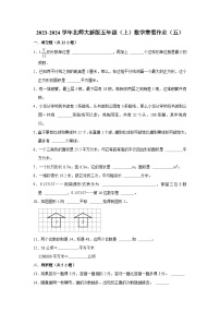 寒假作业（五）（作业）北师大版五年级上册数学