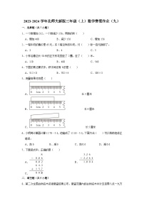 寒假作业（九）（作业）北师大版三年级上册数学