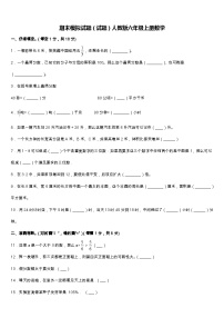 期末模拟试题（试题）-六年级下册数学人教版(含答案)(7)