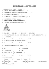 期末模拟试题（试题）-六年级下册数学人教版(含答案)(9)