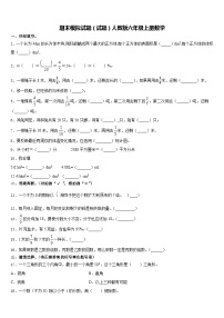 期末模拟试题（试题）-六年级下册数学人教版(含答案)(10)