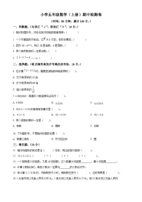 2022-2023学年广东省湛江市雷州市第八小学北师大版五年级上册期中测试数学试卷