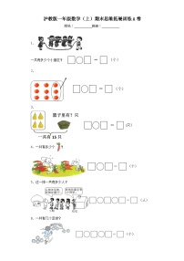 期末思维拓展训练A卷（试题）沪教版一年级上册数学