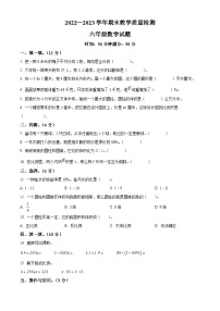 2022-2023学年山东省聊城市阳谷县青岛版六年级下册期末测试数学试卷