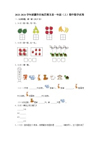 新疆维吾尔自治区和田地区墨玉县2023-2024学年一年级上学期期中考试数学试卷