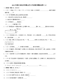 2023年浙江省杭州市萧山区小升初数学模拟试卷