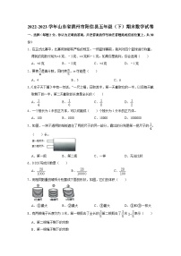 山东省滨州市阳信县2022-2023学年五年级下学期期末数学试卷