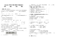 新疆维吾尔自治区乌鲁木齐市沙依巴克区2022-2023学年六年级下学期期末考试数学试题