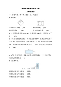 北师大版数学六上 几何与统计（期末专项测评含答案）