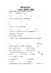 期末综合复习（试题）人教版六年级上册数学