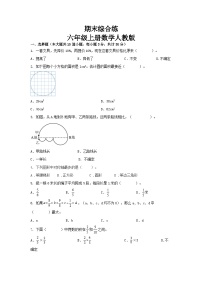 期末综合练（试题）-六年级上册人教版数学