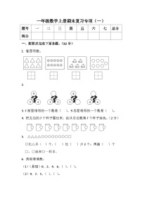 期末复习专项训练测试题（试题）-一年级上册数学人教版