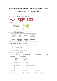 湖南省邵阳市新宁县解放小学、焦家龙小学等四校联考2023-2024学年一年级上学期期中数学试卷