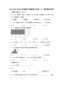 山东省德州市夏津县2023-2024学年六年级上学期期中数学试卷