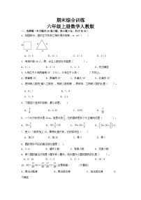 期末综合训练 试题 -六年级上册人教版数学