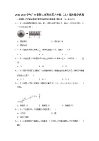 广东省阳江市阳东区2022-2023学年六年级上学期期末数学试卷