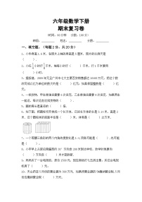 期末复习卷(试题) 六年级下册数学西师大版